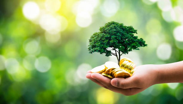 Book an Indoor Air Quality Inspection in Tempe, AZ, to Avoid Illness