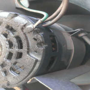 fan motor leaking oil 